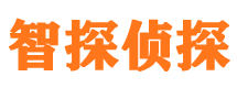 遂川市侦探调查公司